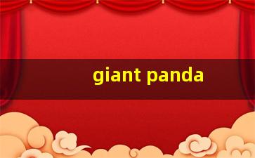 giant panda